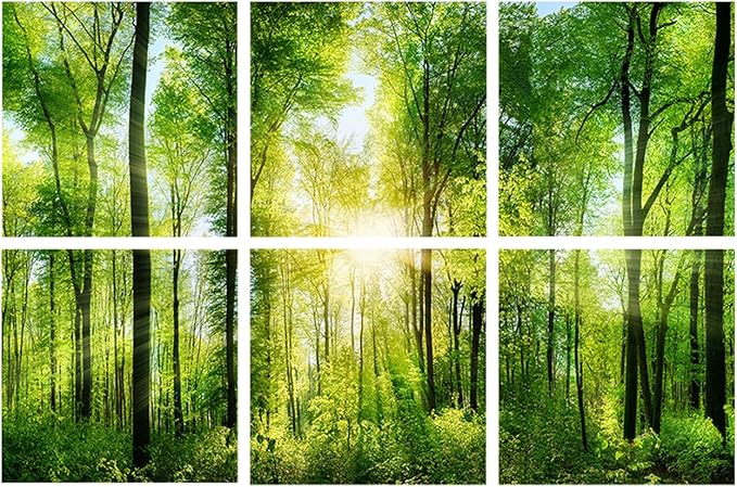 YPY Sound Proofing Panels for Walls Morning sunrise forest green trees: 6 Pack