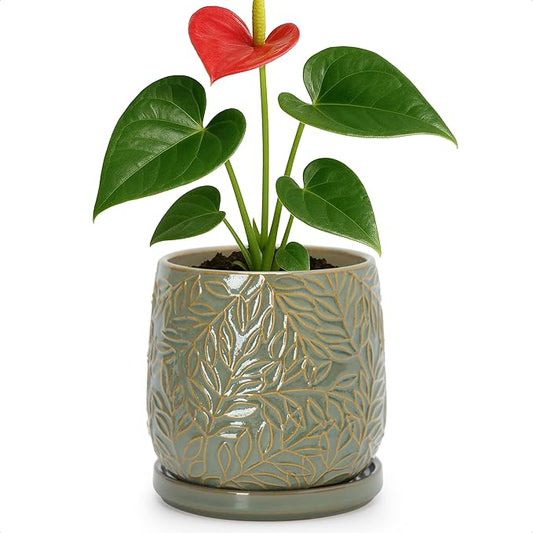 D'vine Dev 5 Inch Embossed Leaves Stoneware Planter Pot with Drainage Hole and Saucer, Olive, 27-A-V-0