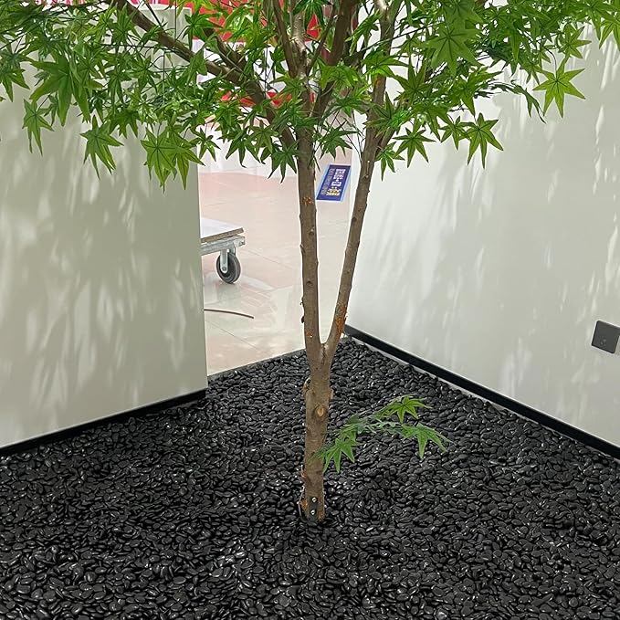 FANTIAN 10 Pounds Natural Black Pebbles Rocks for Plants– 2-3 Inch Ornamental Black River Rocks for Garden Landscaping Home Décor Yard Paving Fountain and Outdoor Decorative Black Stones