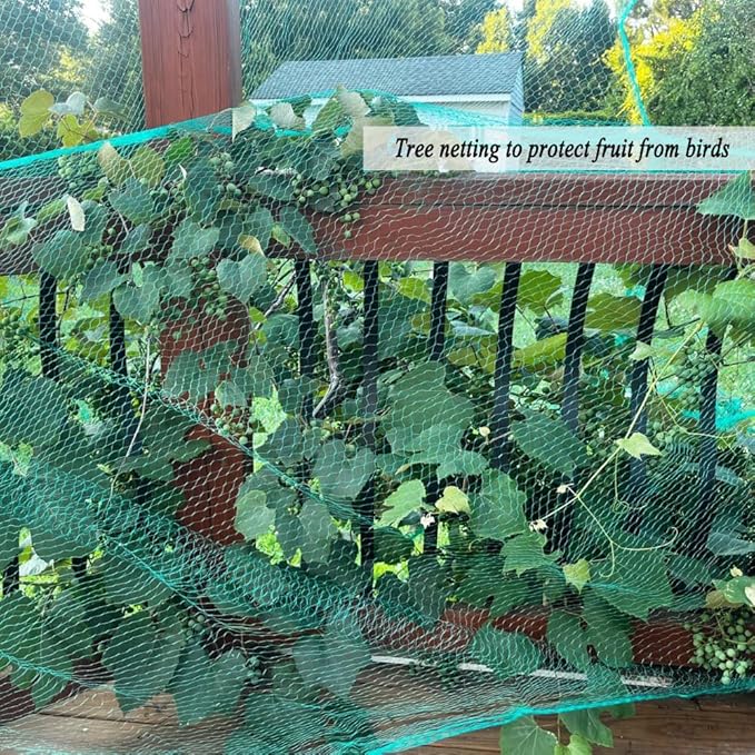Bird Netting for Garden 6.5X50 FT, 1/4 Inch Mesh, Protect Blueberry, Strawberry, Tomatos, Vegetables. Fruit Tree Netting for Cicadas Against Deers, Squirrels, Bunnies, and Small Critters.