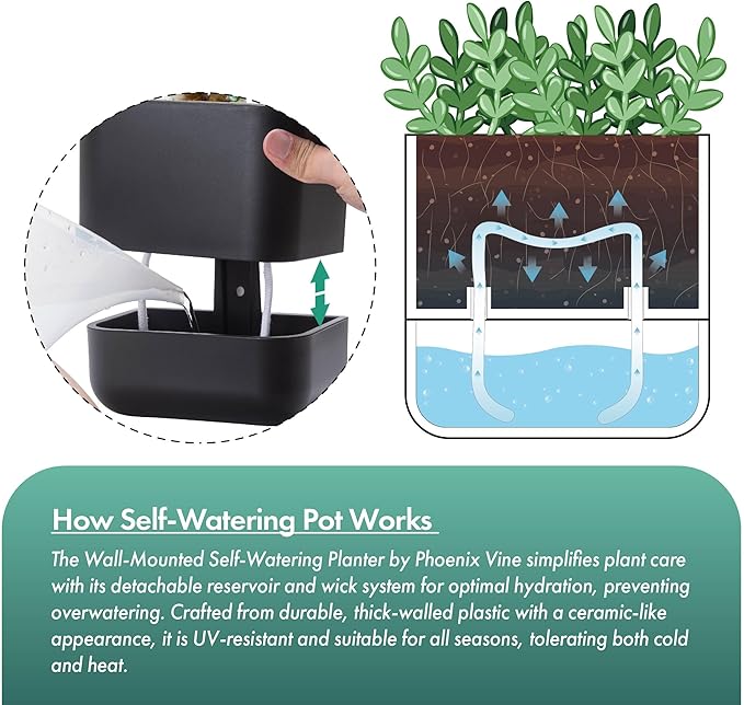 Phoenix Vine 6.5 Inch Wall Mounted Self-Watering Planter Pot