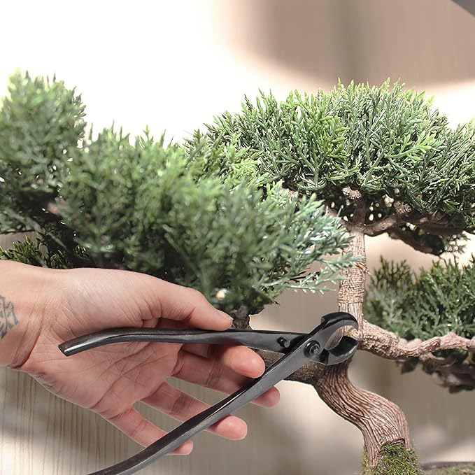 BambooMN Bonsai 8" Knob Cutter Tool - 30 Pieces