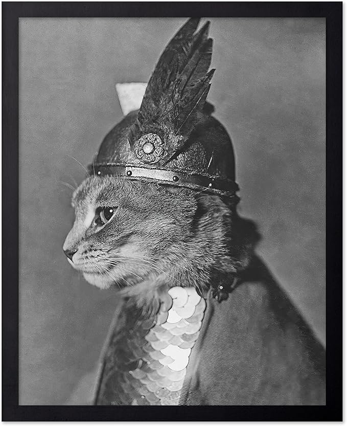 Poster Master Vintage Armored Cat