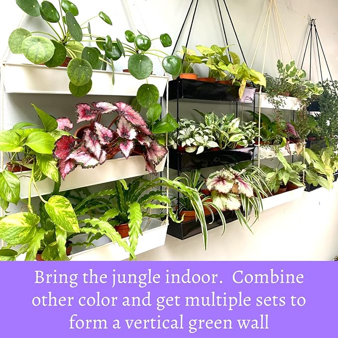 LaLaGreen Wall Hanging Planter