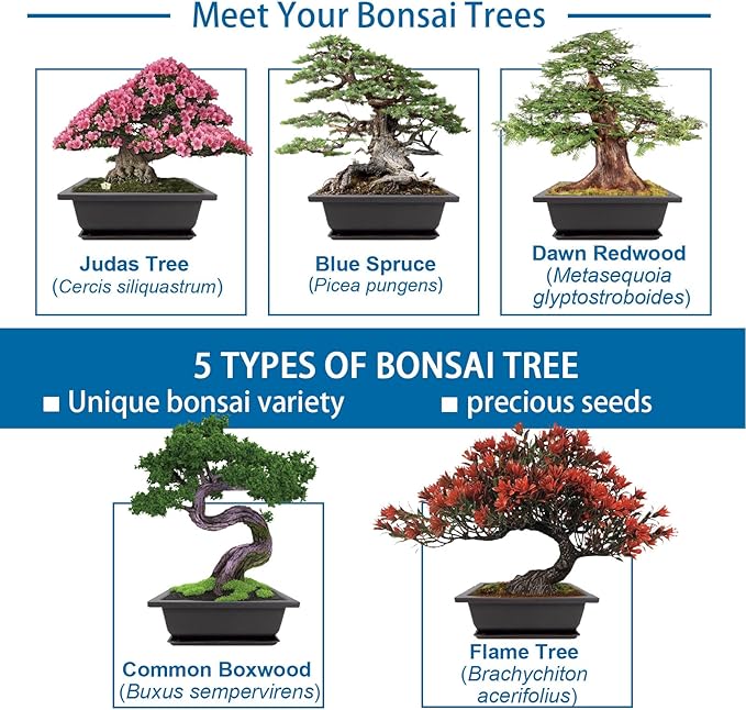 Bonsai Starter Kit, Growing Set Including Complete Gardening Tools with A Gift Box, Gifts for Women
