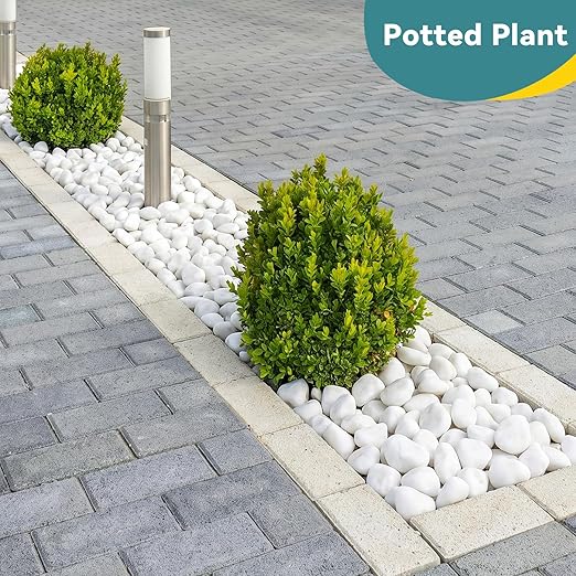 20lbs White Rocks for Landscaping, 2-3 inch Decorative Rocks for Plants Indoor, Large Polished River Rocks for Garden, Outdoor Landscaping, Walkways, Yard, Plants Pots, Vases, Crafts