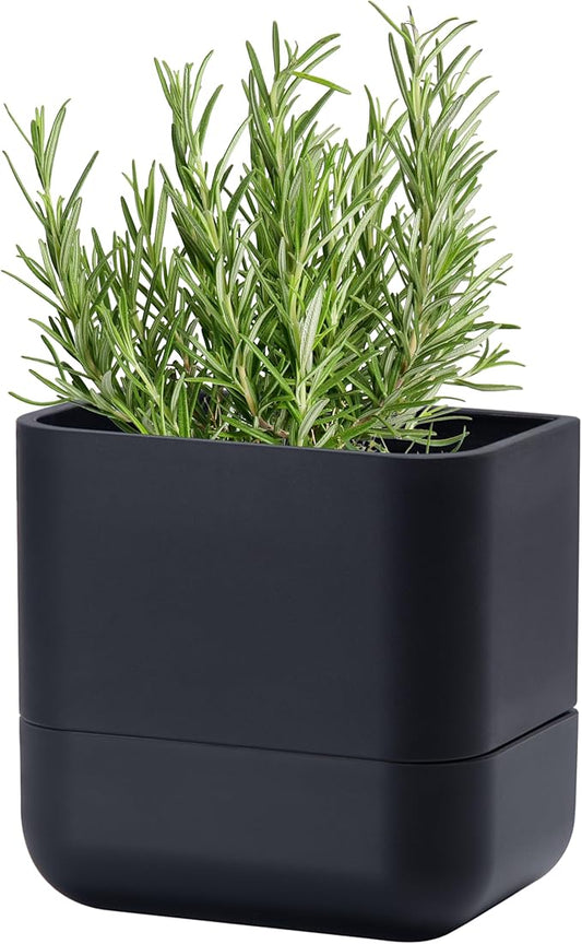 Phoenix Vine 6.5 Inch Wall Mounted Self-Watering Planter Pot