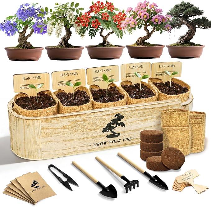 LUOJIBIE Bonsai Tree Kit for Beginners - Unique Gifts for Women, Crafts for Adults, for Women & Men,Complete Indoor Plant Kit,Easy House Plant