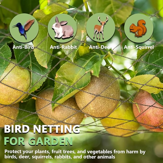 Bird Netting for Garden 10 x 30 FT Heavy Duty Black Garden Netting for Fruit Trees, Chicken Coop, Pond, Blueberry Bushes, Poultry & Deer Netting, HDPE Plant Protection Net Fence with Ties