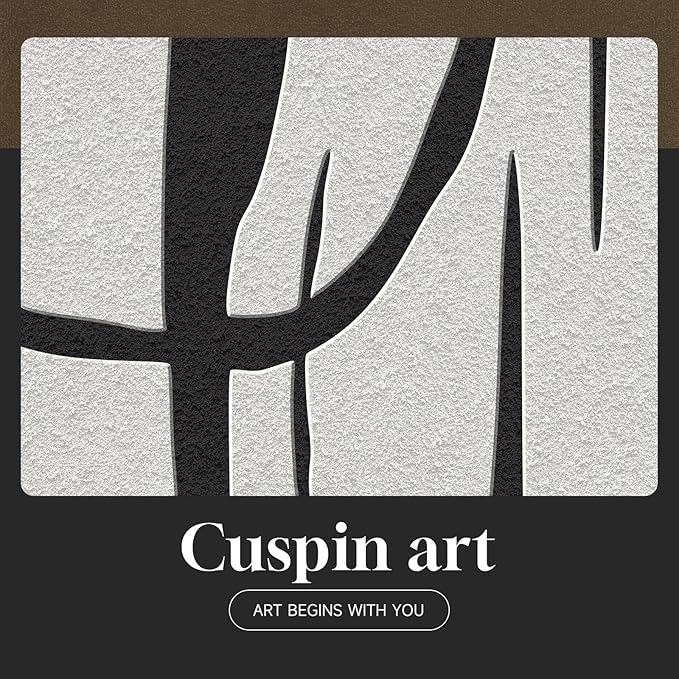 Framed Black and White Abstract Wall Art
