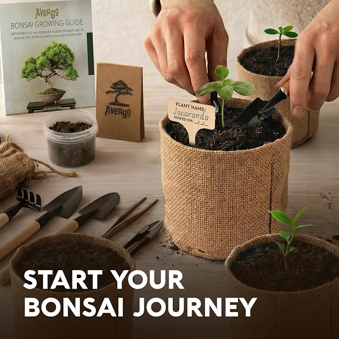 Bonsai Tree Kit Classic - 5X Unique Japanese Bonzai Trees | Complete Indoor Bonsai Starter Kits for Growing Trees – DIY Gardening Gifts for Mother, Women & Men, for Father's Day