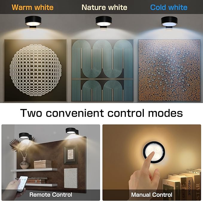 2-Pack Picture Light for Paintings Battery Operated Art Light
