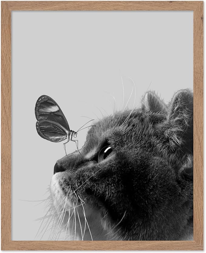 Poster Master Butterfly on Cat Print