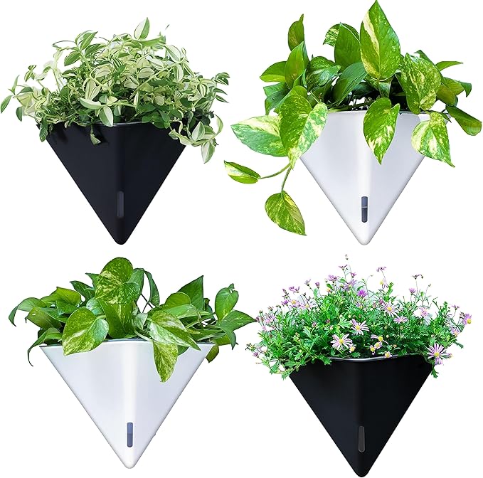 LaLaGreen Wall Planters for Indoor Plants