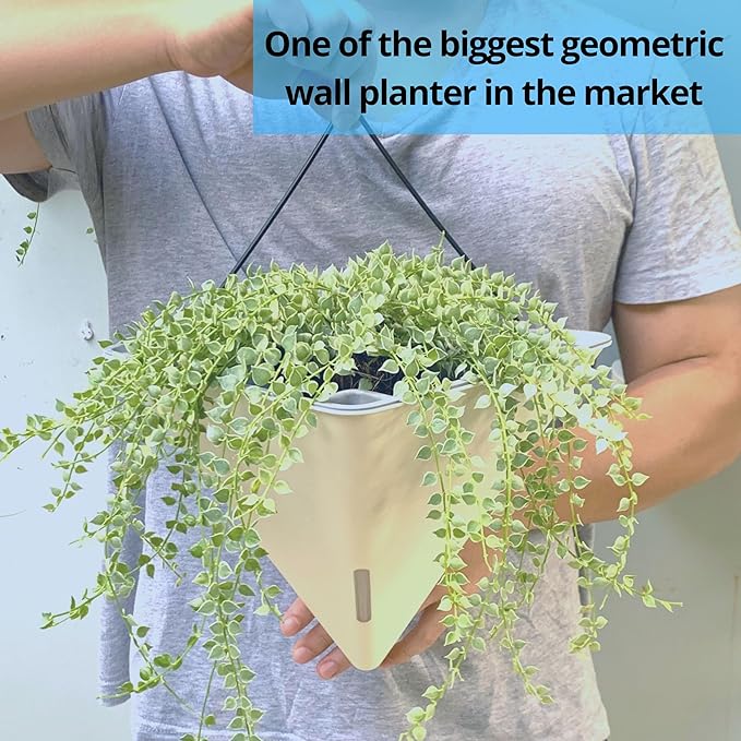 LaLaGreen Wall Planters for Indoor Plants