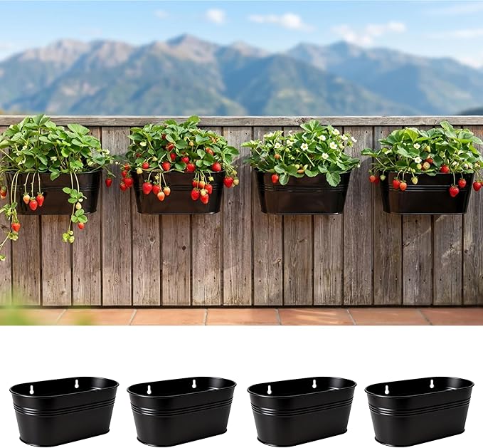 LaLaGreen Wall Planter Black Oval Metal Wall Hanging Decor Plant Holder