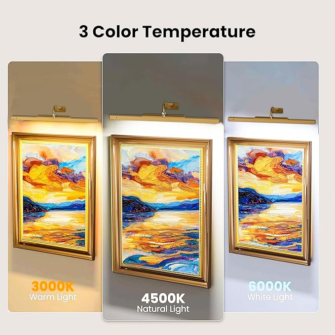 3 Pack Picture Lights Battery Operated 6000mAh