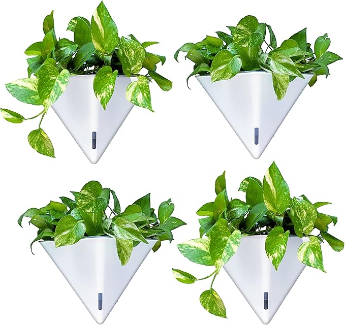 LaLaGreen Wall Planters for Indoor Plants