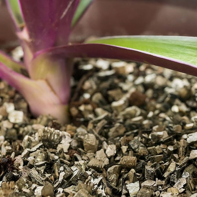 Gardenera Premium Zamioculcas Plant Potting Mix - Crafted for Resilient Growth and Striking Elegance - 1 Quart