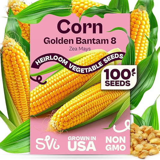 SVI 100 Golden 8 Bantam Corn Seeds (Zea mays) â Yellow Sweet Corn Seed Packets, Early Maturing Maiz â Non GMO Heirloom Vegetable Seeds for Outdoors, Vegetable Garden Rows