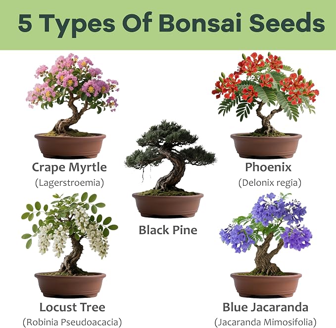 LUOJIBIE Bonsai Tree Kit for Beginners - Unique Gifts for Women, Crafts for Adults, for Women & Men,Complete Indoor Plant Kit,Easy House Plant