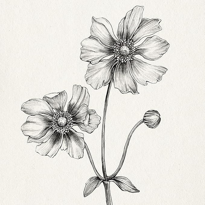 Framed Minimalist Black and White Floral Wall Art, 4 Piece Neutral Rustic