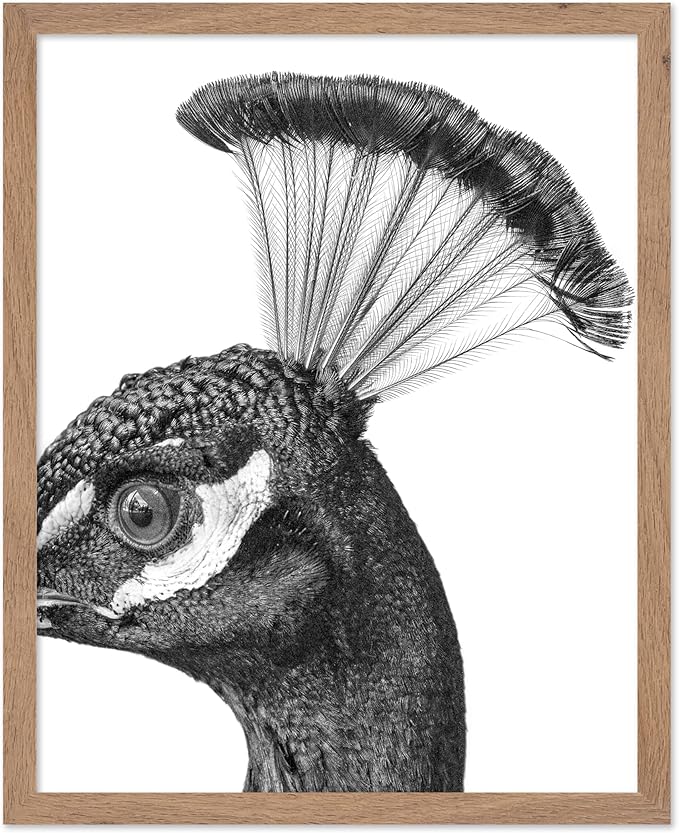 Poster Master Vintage Peacock Poster