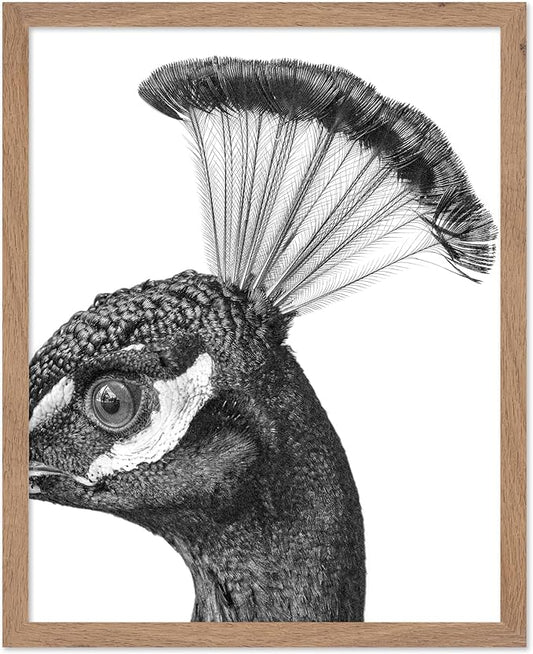 Poster Master Vintage Peacock Poster