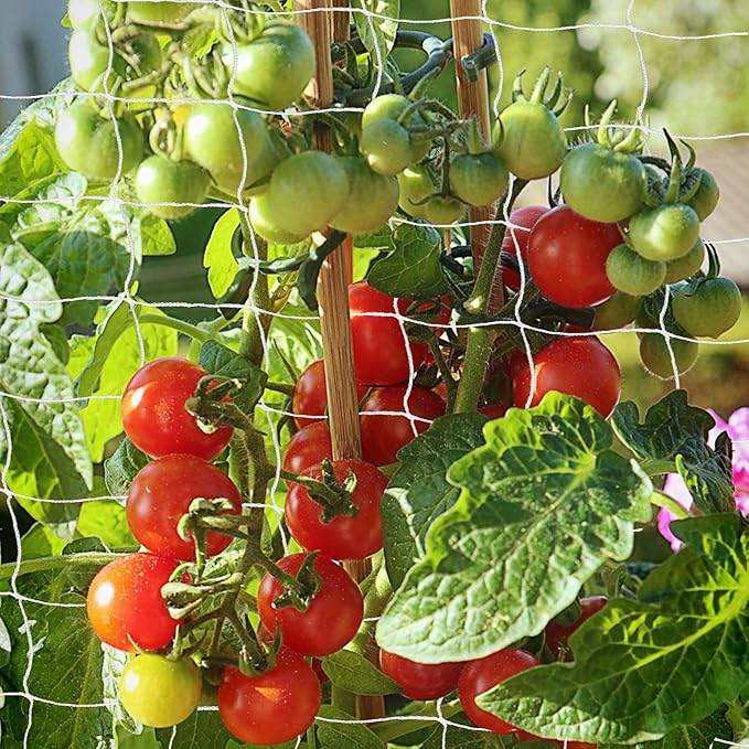 Heavy Duty Garden Trellis Netting, 6 x 15 ft, White, Rectangular, Polyester Nylon, Climbing Plant Support Netting, Garden
