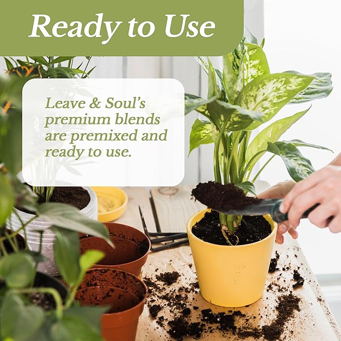 Professional Succulent Soil Mix Ready to Use Extra Large 8.2 Quarts, Premium Potting Soil for Succulents and Cactus, Fast Draining Blend Canadian Peat Coarse Sand Pinebark Indoor Made in USA
