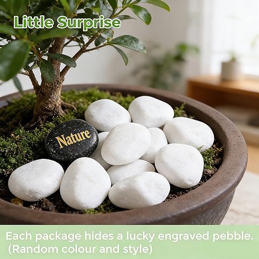 SIDONG 20 lbs White River Rocks, 1.2-2 Inches Matte Pebbles for Indoor Plants, Aquarium Rocks Used in Fish Tank, Decorative Stones for Plants, Vases, Home Décor, Crafting, Garden Landscaping