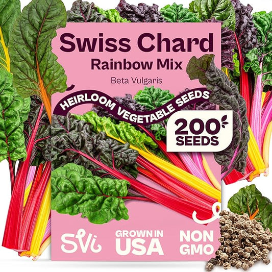 SVI 200 Rainbow Mixture Swiss Chard Seeds (Beta Vulgaris VAR. Cicla) - Five Color Silverbeet Chard, Colorful Stems, Non GMO Heirloom Seed - Perfect Vegetable Seeds in Seed Packets for Home Garden