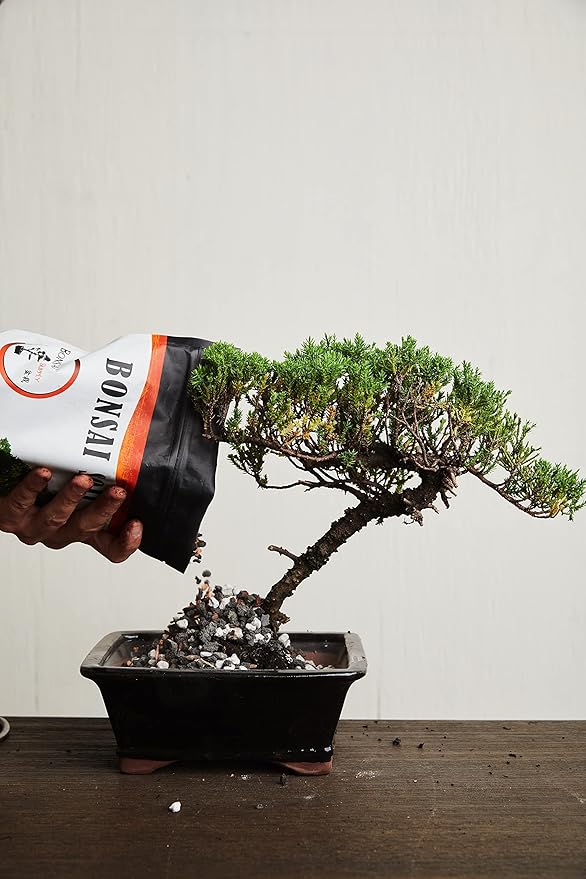 Bonsai Soil by The Bonsai Supply – 20qts. Professional Bonsai Soil Mix | Ready to use| Great for All Bonsai Tree Varieties.