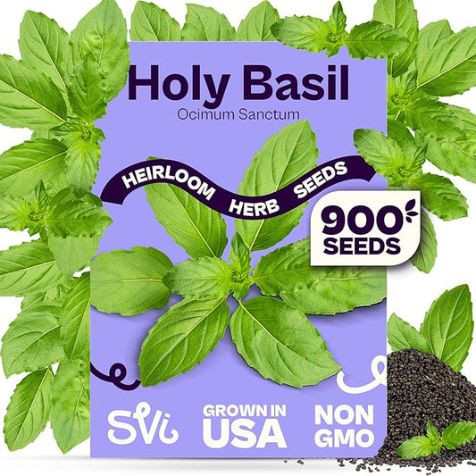 SVI 900 Holy Basil Seeds (Ocimum Sanctum) â Sacred Krishna Tulsi Seed Packets, Fragrant, Edible Basil â Non GMO Heirloom Herb Seeds for Outdoor & Indoor Herb Garden