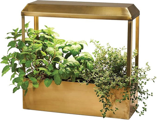 Modern Sprout Smart Growhouse LED Grow Light for Indoor Plants- Plant Grow Light Indoor Gardening System & Herb Garden Kit w/Smart App -Decor Countertop Planter for Herbs, Gift for Mother's Day- Brass