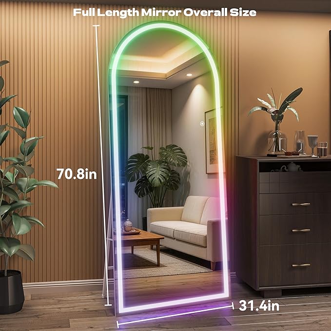 Hasipu Arch Full Length Mirror 71 x 32 in