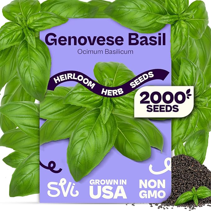 SVI 2000 Genovese Basil Seeds (Ocimum basilicum) â Sweet Basil Seed Packets â Aromatic Non GMO Heirloom Large Leaf Culinary Herb Seeds, Outdoor & Indoor Herb Garden