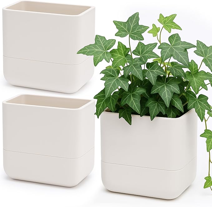 Phoenix Vine 6.5 Inch Wall Mounted Self-Watering Planter Pots