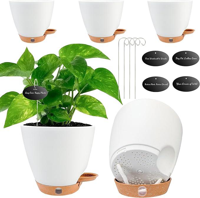 6 Inch Self Watering Pots for Indoor Plants(5-Pack) â Small Plastic Planters with Water Level Window, Drainage Holes & Detachable Trays, Indoor Outdoor Flower Pots for Herbs, Snake,Pothos(White)