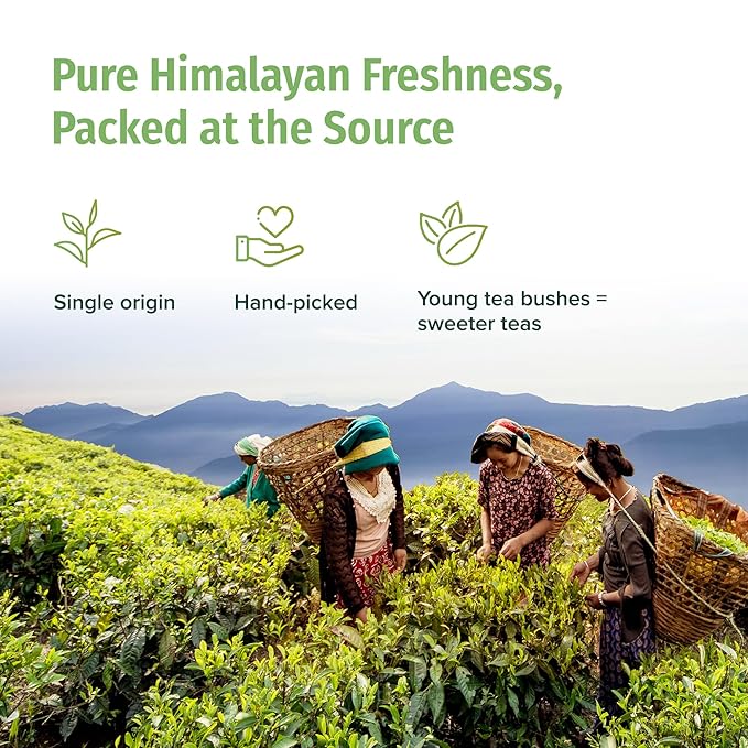 NEPAL TEA Organic Green Tea Bags from the Himalayas - 50 Pyramid Tea Bags, Single Origin from a Family Farm - Green Tea Bags with Loose Leaf Tea Inside (Himalayan Mist)