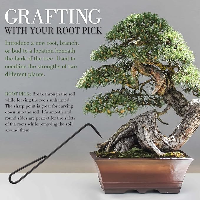 BambooMN Bonsai 2pc Set - 9" Root Pick and 9" Root Rake - 3 Sets