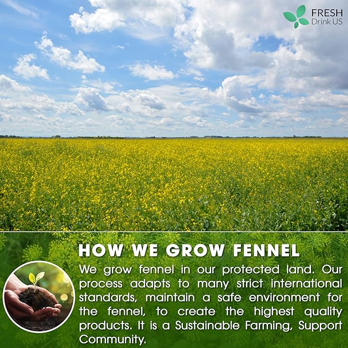 FreshDrinkUS, Premium 75 Fennel Seed Tea Bags – 100% Natural & Pure, Handmade Herbal Tea, Eco-Friendly, Fresh Aroma, Made with Natural Material Tea Bags. No Sugar, No Caffeine, No Gluten, Vegan.