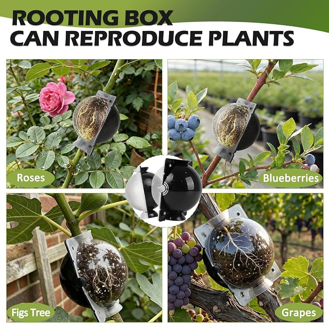 Tree Root Growing Box, Air Layering Pods Propagation Kit, Reusable Half Transparent Plants Asexual Reproduction Grafting Ball with Zip Ties for Fast Propagation Plants (6pcs Meidum + 6pcs Large)