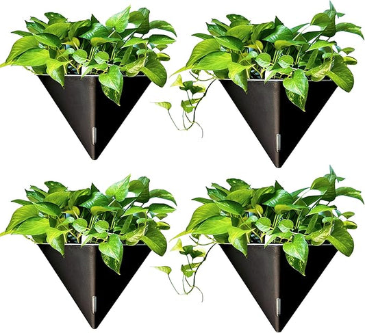 LaLaGreen Wall Planters for Indoor Plants