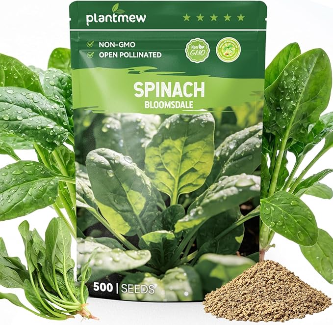 Bloomsdale Spinach Seeds for Planting, 500 Heirloom Seeds â Fast Growing Vegetable Seeds for Spring & Fall Gardens