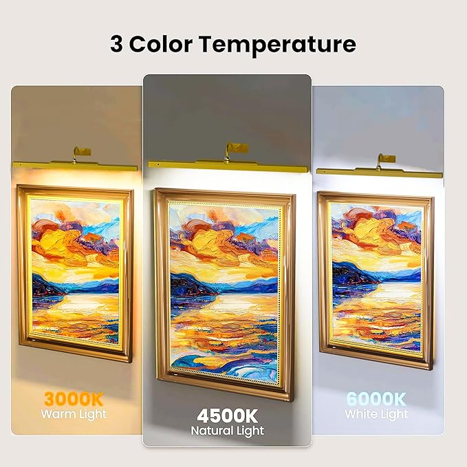 2 Pack Picture Art Lights