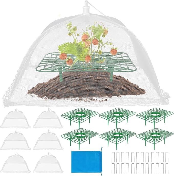 6 Sets Strawberry Plant Supports with Mesh Plant Cover,Strawberry Growing Racks with Metal Plant Nails and Storage bag for Strawberry Vegetablesï¼Used to protect strawberries and keep them clean