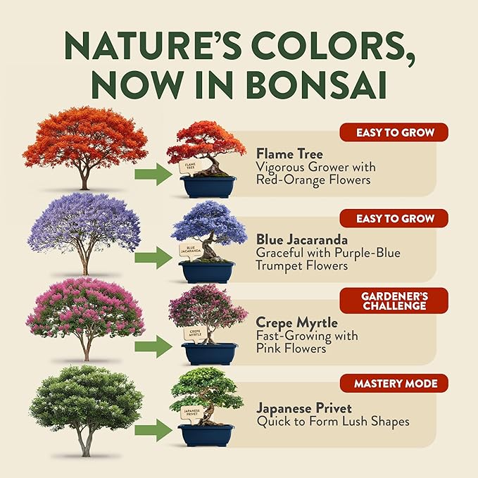 HOME GROWN Bonsai Tree Starter Kit – Unique Christmas Gift for Adults, Men, Women - Grow 4 Bonsais & Indoor Organic Herb Garden Kit – Unique Christmas Gift for Adults, Men, & Women - Grow 4 Herb Seeds