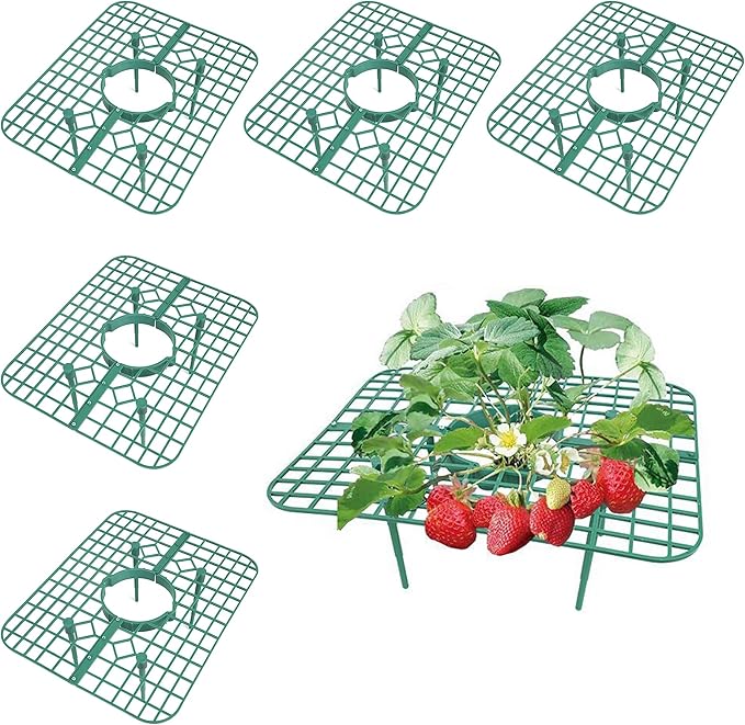 SooGree 5 Pack Strawberry Supports Garden Fruit Plant Cage Strawberry Holder Cradles Plastic Tray Keep Strawberries Off Rot and Dirt