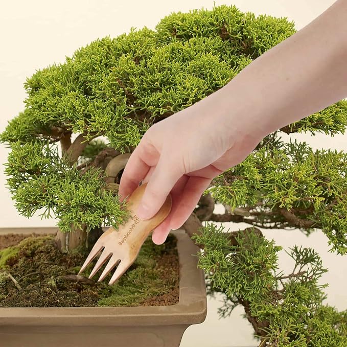 BambooMN Bonsai Tree Pruning Trimming Starter Tool Kit - Leaf Trimmers, and Bamboo Rake - 10 Sets